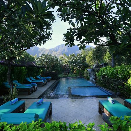 Taruna Boutique Homestay&Spa Pemuteran Extérieur photo