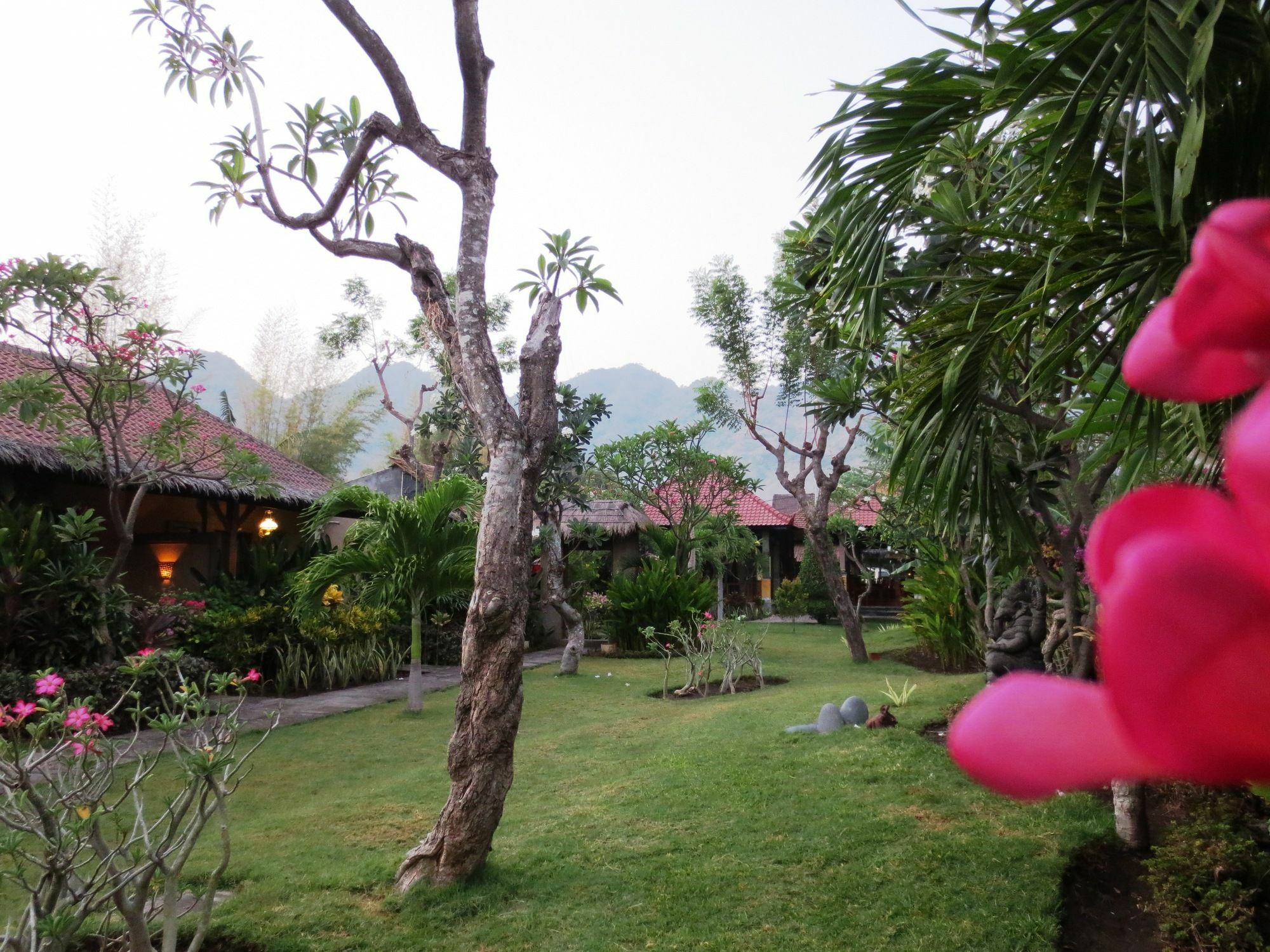 Taruna Boutique Homestay&Spa Pemuteran Extérieur photo